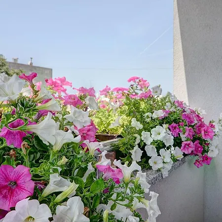 Apartmán Apartman Fiorellino